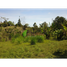  Land for sale in Guarne, Antioquia, Guarne