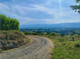  Land for sale in Pereira, Risaralda, Pereira