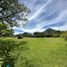  Land for sale in El Carmen De Viboral, Antioquia, El Carmen De Viboral