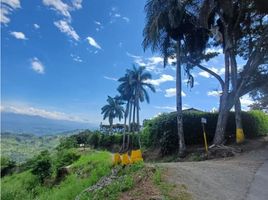  Land for sale in Manizales, Caldas, Manizales