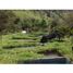 1 Bedroom Villa for sale in San Carlos, Antioquia, San Carlos
