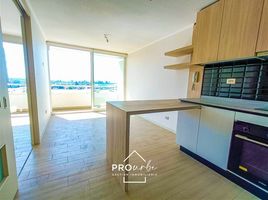 1 Bedroom Apartment for sale in Cordillera, Santiago, San Jode De Maipo, Cordillera