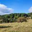  Terreno (Parcela) en venta en Chiloé, Los Lagos, Chonchi, Chiloé