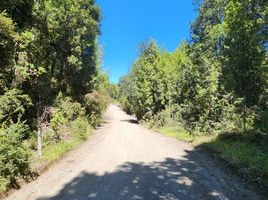  Terrain for sale in Chonchi, Chiloe, Chonchi