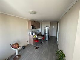 1 Bedroom Apartment for sale in Santiago, Puente Alto, Cordillera, Santiago