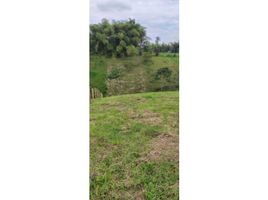  Terreno (Parcela) en venta en Ulloa, Valle Del Cauca, Ulloa