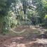  Terrain for sale in Pucon, Cautin, Pucon