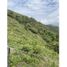  Land for sale in Colombia, Huila, Colombia