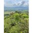  Land for sale in Colombia, Huila, Colombia