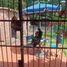 3 Habitación Villa en venta en General Pueyrredon, Buenos Aires, General Pueyrredon