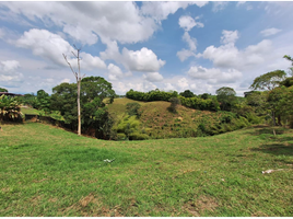  Terreno (Parcela) en venta en Armenia, Quindio, Armenia