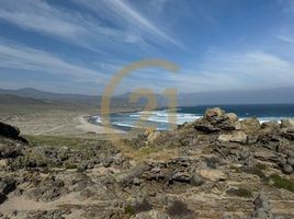  Grundstück zu verkaufen in Limari, Coquimbo, Ovalle