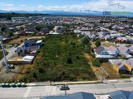  Terreno (Parcela) en venta en Puerto Montt, Llanquihue, Puerto Montt