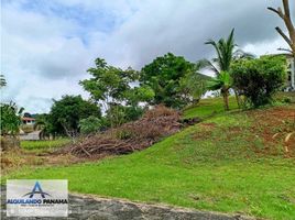  Grundstück zu verkaufen in David, Chiriqui, San Carlos