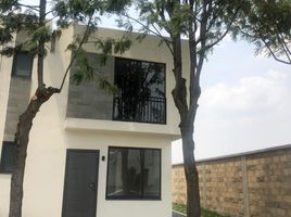 在Toluca, Mexico出售的2 卧室 公寓, Toluca