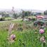 3 Bedroom House for sale in Sotaquira, Boyaca, Sotaquira