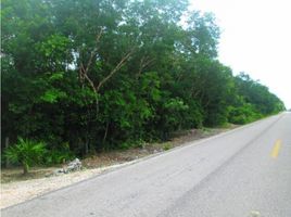 Terrain à vendre à Puerto Morelos, Quintana Roo, Puerto Morelos