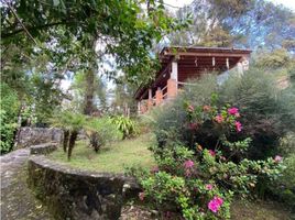 Villa 4 chambre à louer à Valle De Bravo, Mexico, Valle De Bravo