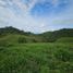 Studio House for sale in Meteti, Darien, Meteti
