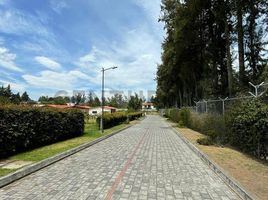  Land for sale in Puembo, Quito, Puembo