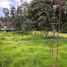  Land for sale in Pichincha, Alangasi, Quito, Pichincha