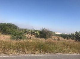 Terrain à vendre à Apaseo El Grande, Guanajuato, Apaseo El Grande