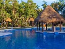 2 Schlafzimmer Appartement zu verkaufen in Puerto Morelos, Quintana Roo, Puerto Morelos