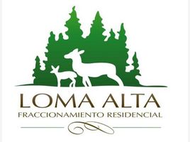  Grundstück zu verkaufen in Arteaga, Coahuila, Arteaga