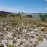  Grundstück zu verkaufen in Arteaga, Coahuila, Arteaga