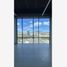 81 제곱미터입니다 Office for rent in Coahuila, 솔 틸로, Coahuila