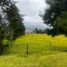  Terrain for sale in Cogua, Cundinamarca, Cogua