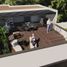 3 Habitación Villa en venta en Zapopan, Jalisco, Zapopan