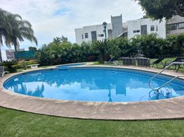 2 Bedroom Apartment for rent in Cuernavaca, Morelos, Cuernavaca