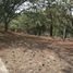  Land for sale in El Arenal, Jalisco, El Arenal