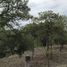 Land for sale in El Arenal, Jalisco, El Arenal