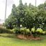 6 Schlafzimmer Villa zu verkaufen in Pereira, Risaralda, Pereira, Risaralda, Kolumbien