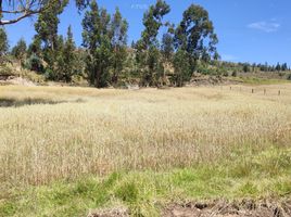  Terreno (Parcela) en venta en Oicata, Boyaca, Oicata