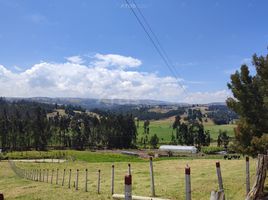  Terreno (Parcela) en venta en Oicata, Boyaca, Oicata