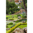  Grundstück zu verkaufen in Valle De Bravo, Mexico, Valle De Bravo