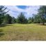  Land for sale in Mineral Del Chico, Hidalgo, Mineral Del Chico