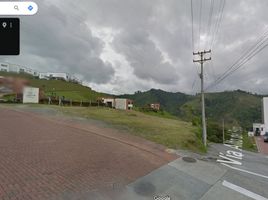  Terreno (Parcela) en alquiler en Manizales, Caldas, Manizales