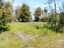  Land for sale in Chillan, Diguillin, Chillan