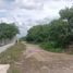  Land for rent in Merida, Yucatan, Merida