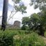  Land for rent in Merida, Yucatan, Merida