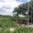  Grundstück zu vermieten in Merida, Yucatan, Merida, Yucatan