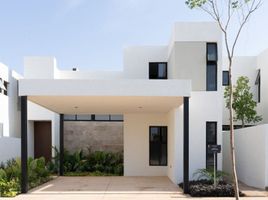 Maison 3 chambre à vendre à Yaxkukul, Yucatan, Yaxkukul, Yucatan