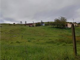  Terreno (Parcela) en venta en La Calera, Cundinamarca, La Calera