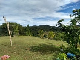  Terrain for sale in San Carlos, Antioquia, San Carlos