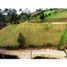  Land for sale in San Vicente, Antioquia, San Vicente