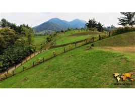  Land for sale in San Vicente, Antioquia, San Vicente